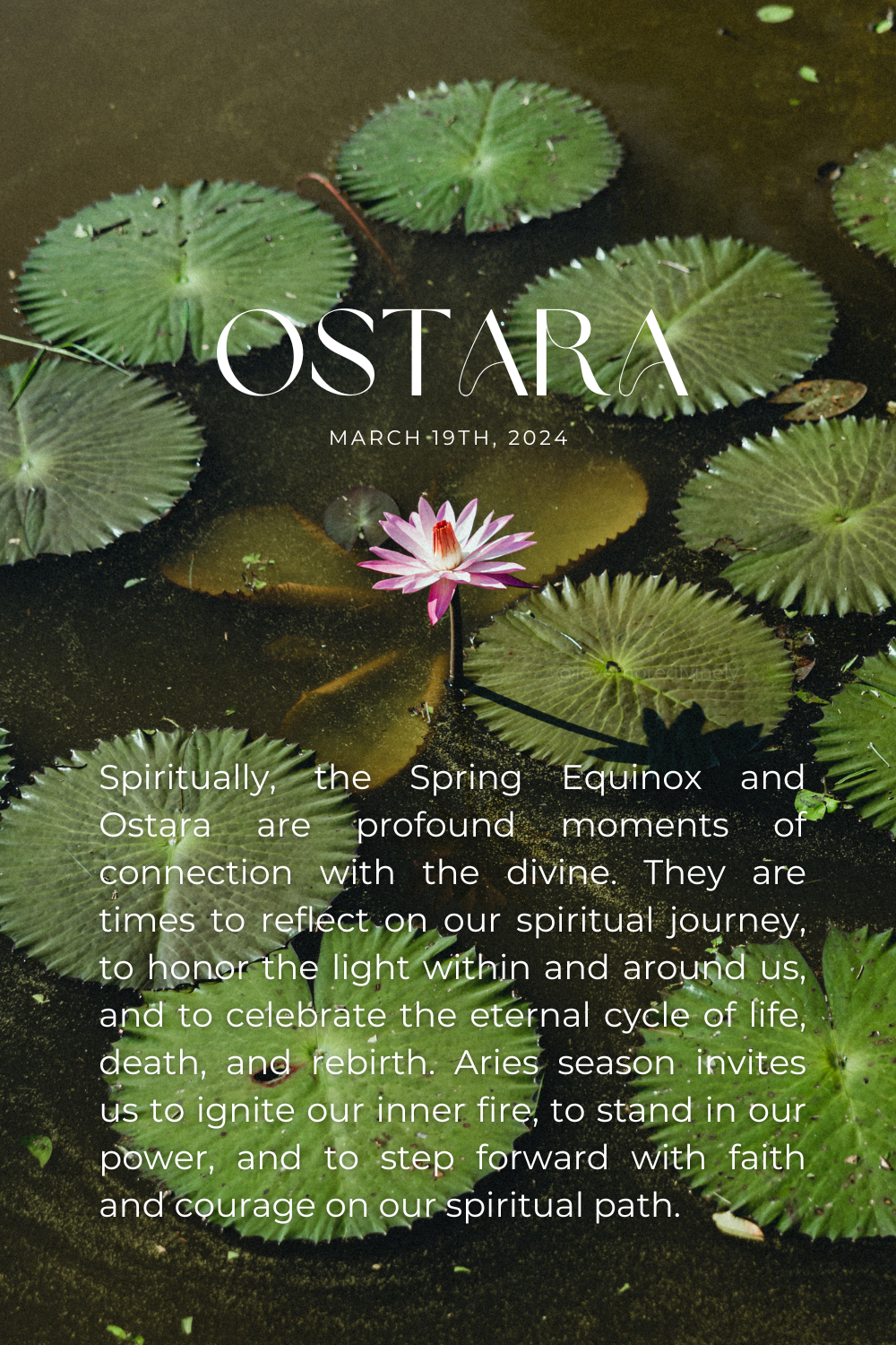 Blossoming with Ostara: A Journey of Renewal