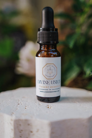 Flower Essences for the Energetic Architect Within - Love More Divinely