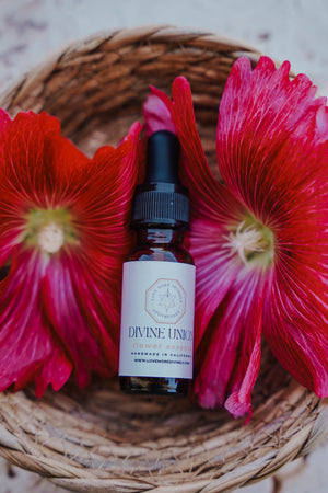 Divine Union Flower Essence blend for relationship healing, emotional balance, and sacred partnership support - Love More Divinely
