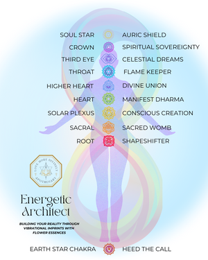 Flower Essences for the Energetic Architect Within - Love More Divinely