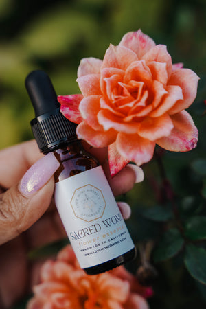Sacred Womb Flower Essence supporting mother wound healing, feminine empowerment, emotional healing, and self-love - Love More Divinely