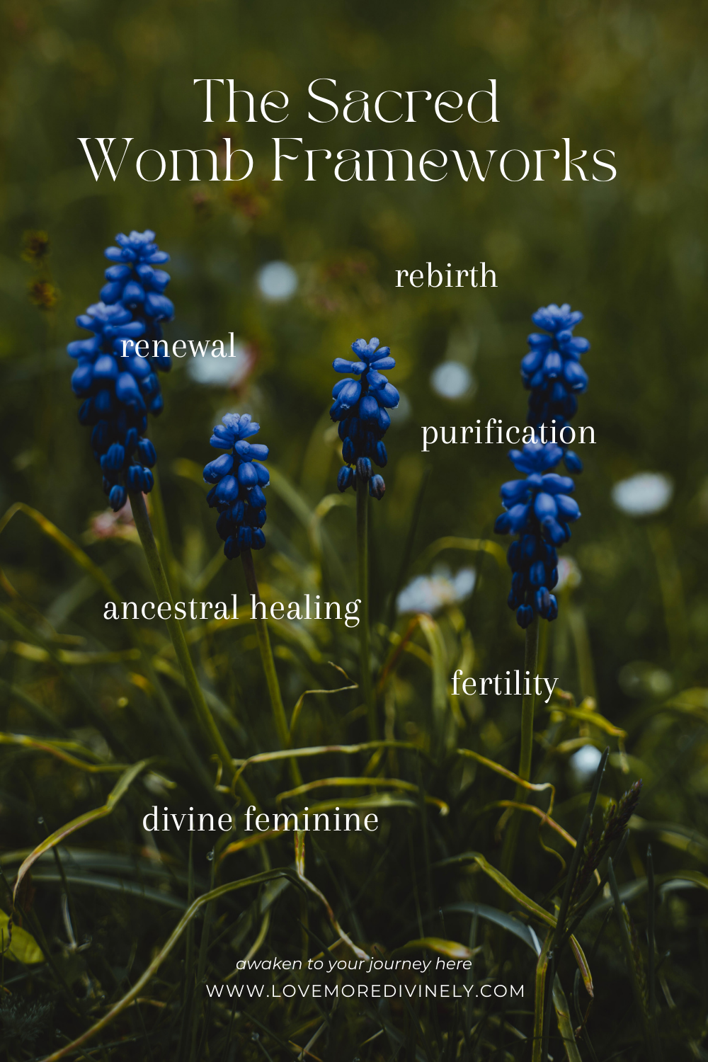 The Sacred Womb Framework: Rebirth, Renewal, and Purification Through Ancestral Healing and the Divine Feminine
