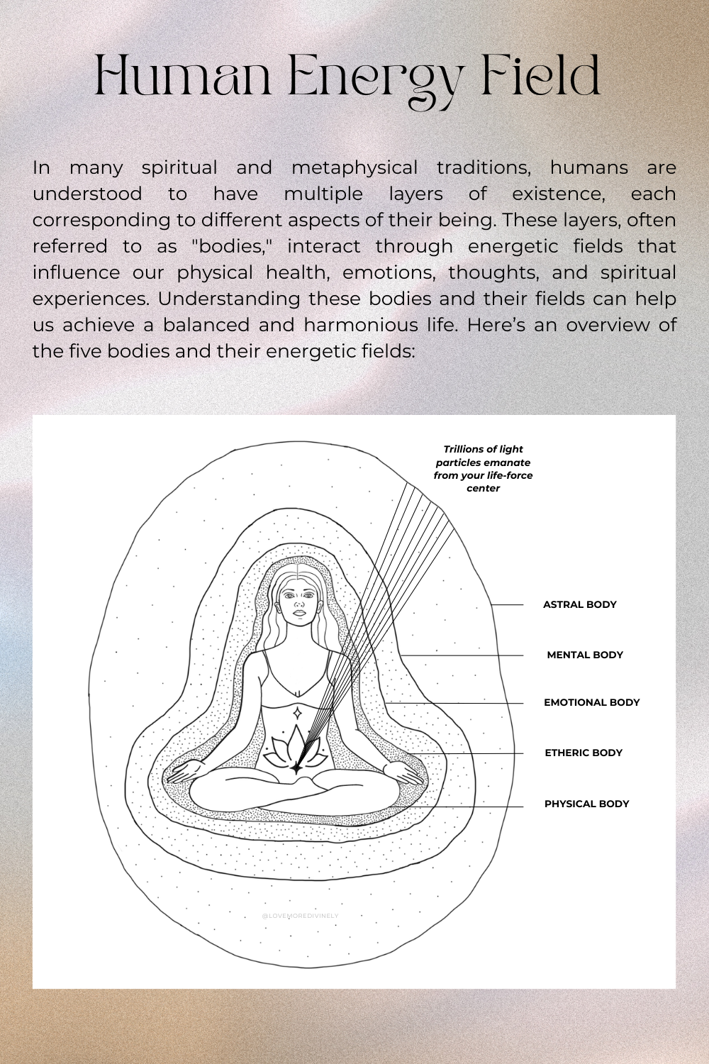 Introduction to the Five Bodies, Energetic Fields & Flower Essences