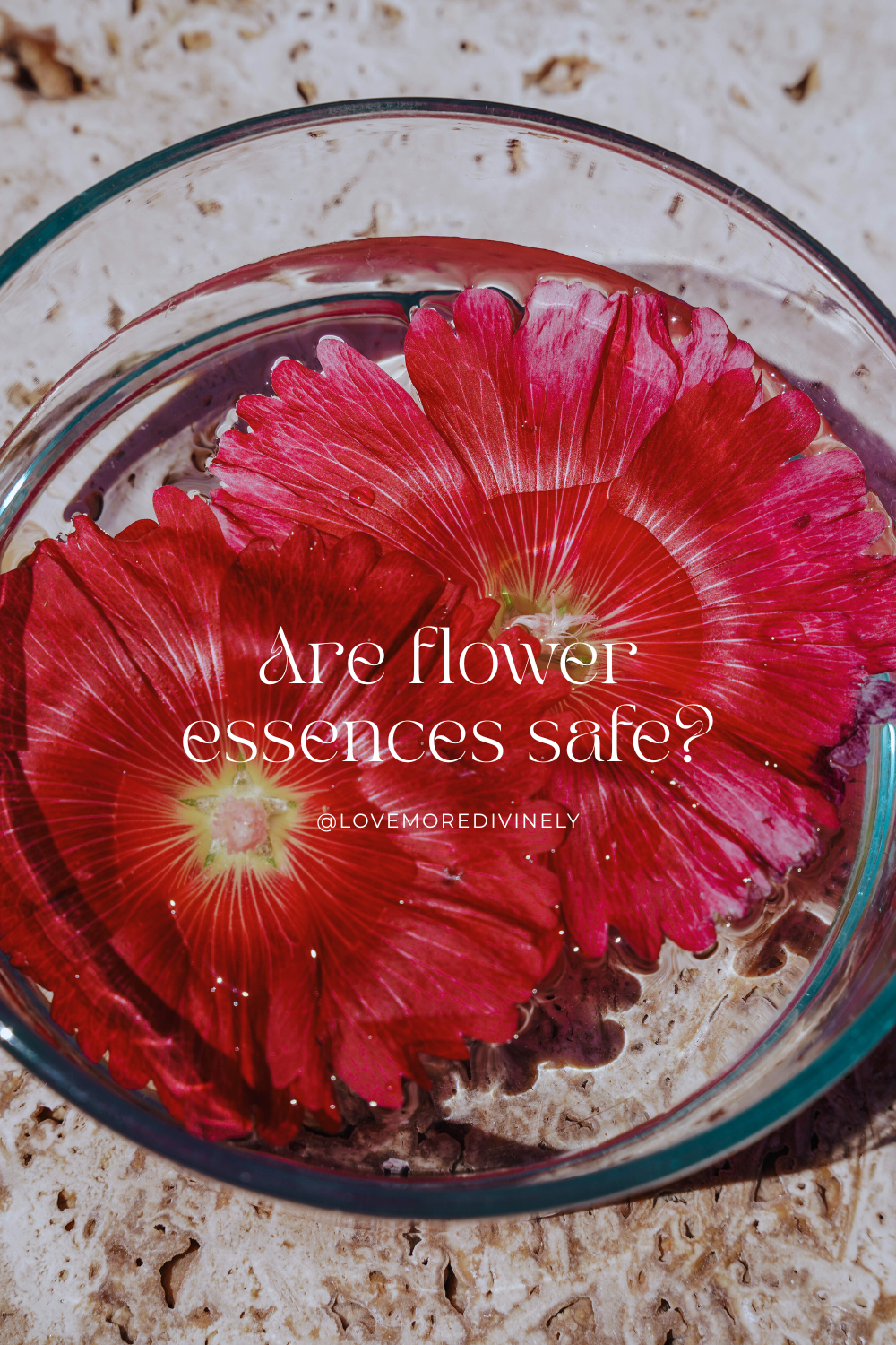 Are Flower Essences Safe? A Sacred Guide to Vibrational Healing