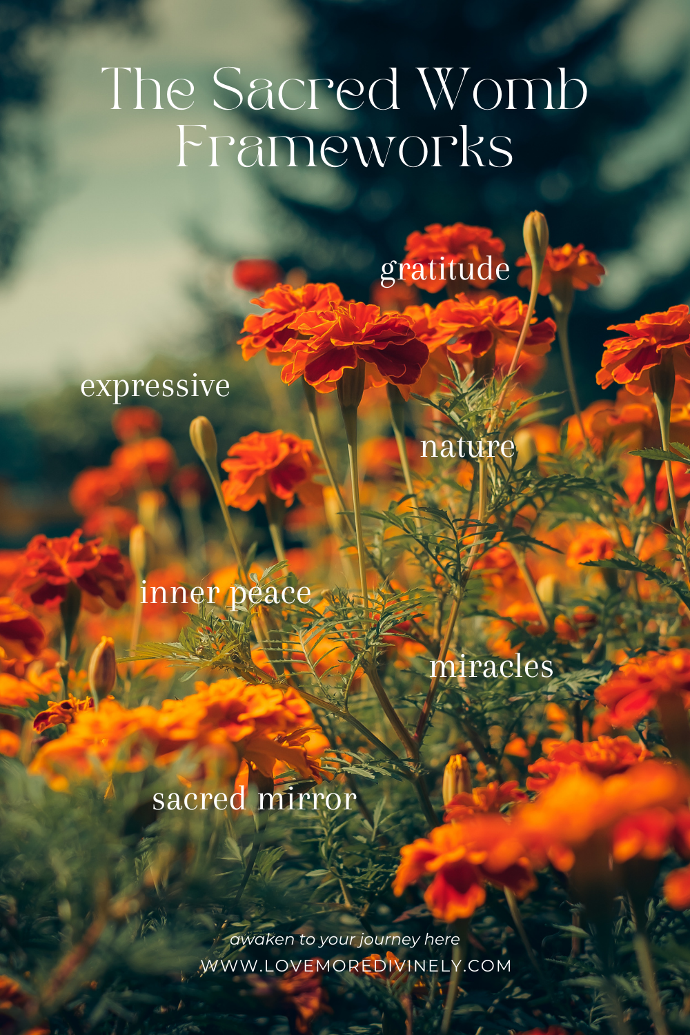 The Sacred Womb Framework: A Healing Modality for Gratitude, Nature, Inner Peace, Miracles, and the Sacred Mirror