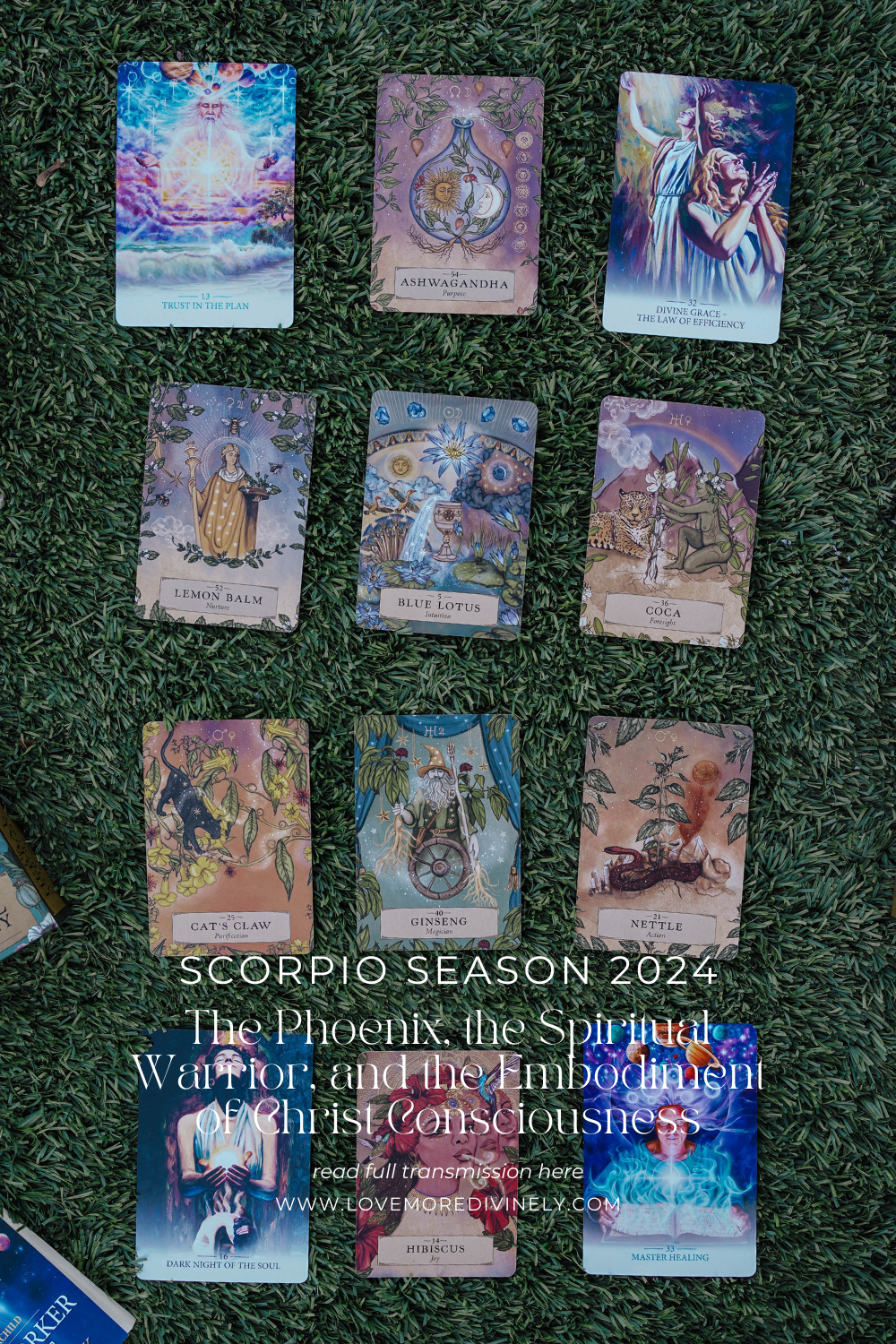 Scorpio Season 2024: The Phoenix, the Spiritual Warrior, and the Embodiment of Christ Consciousness