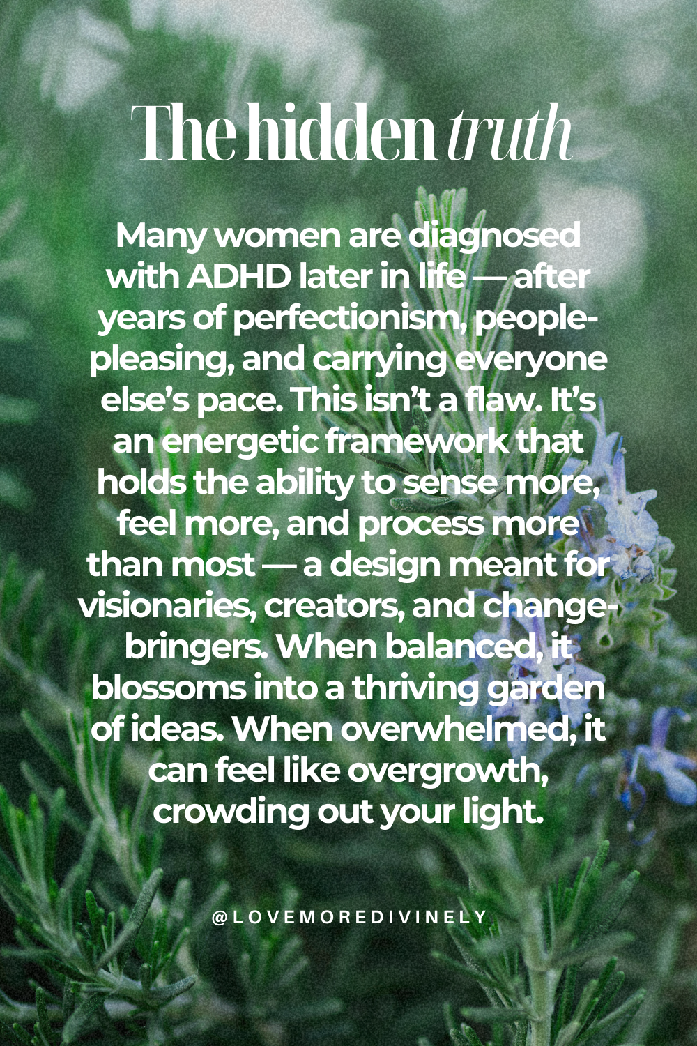 Conscious Creation: How Flower Essences Support ADHD, Neurodivergence, and Highly Sensitive Women