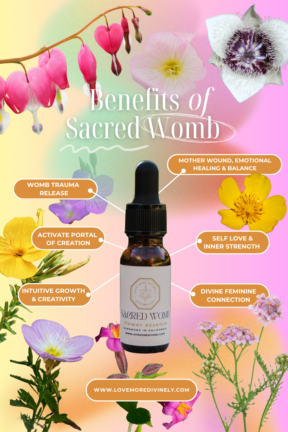 The Sacred Womb: Returning Home to Your Feminine Wholeness