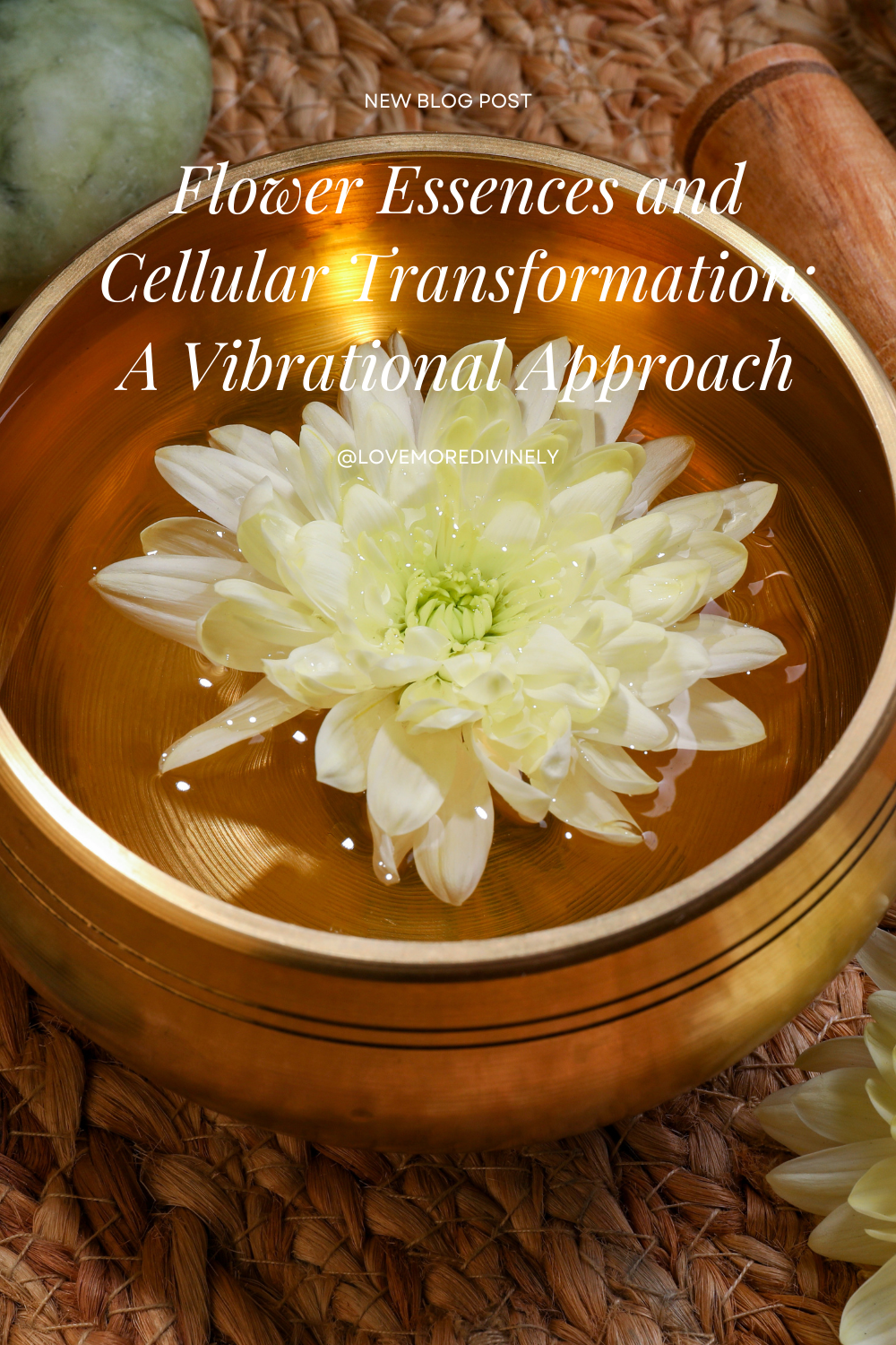 Flower Essences and Cellular Transformation: A Vibrational Approach
