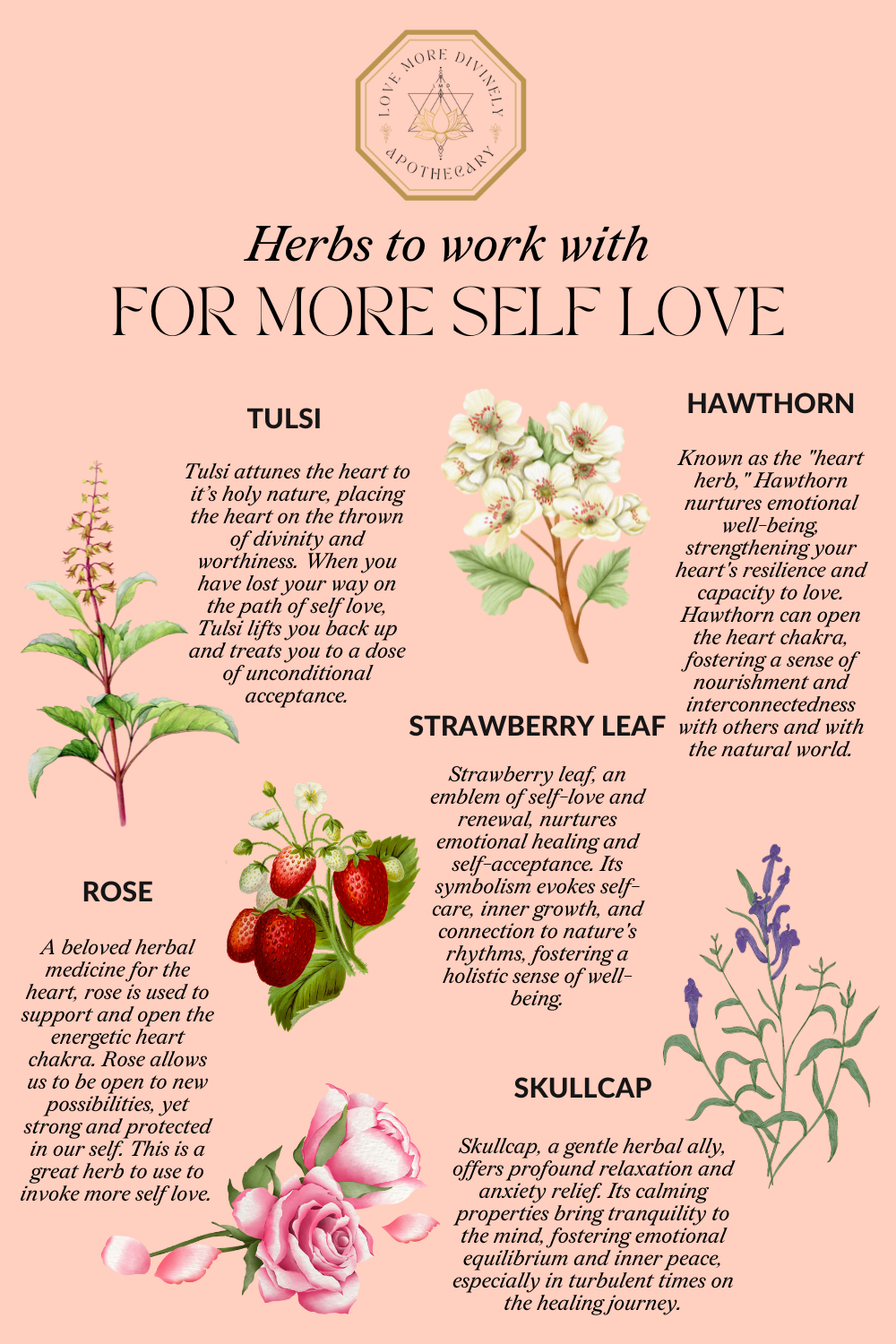 Herbs For More Self Love: Embracing the Power Within
