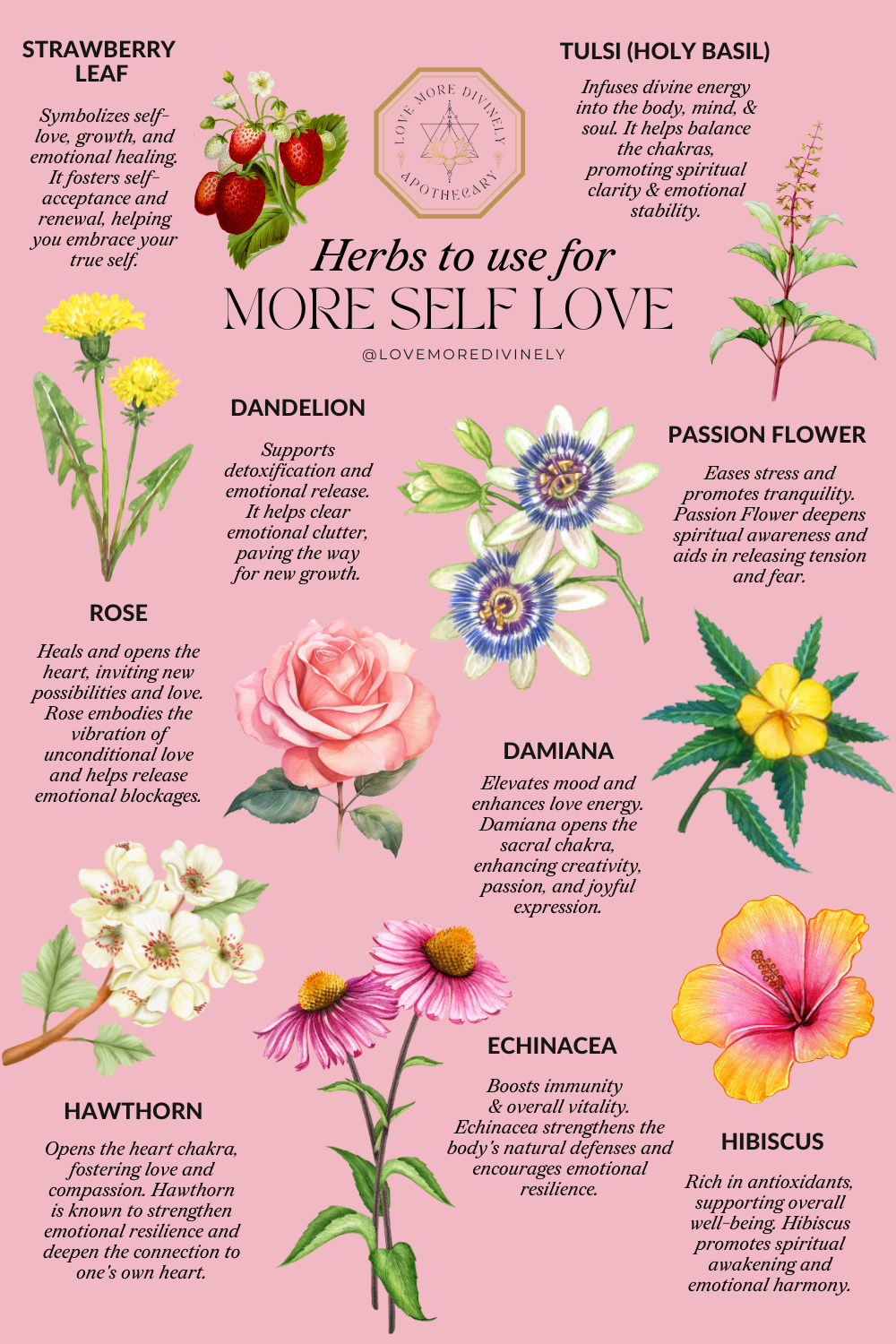 Powerful Herbs for Self-Love and Divine Feminine Embodiment