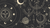 Lunar Phases | What are they and  what do they mean?