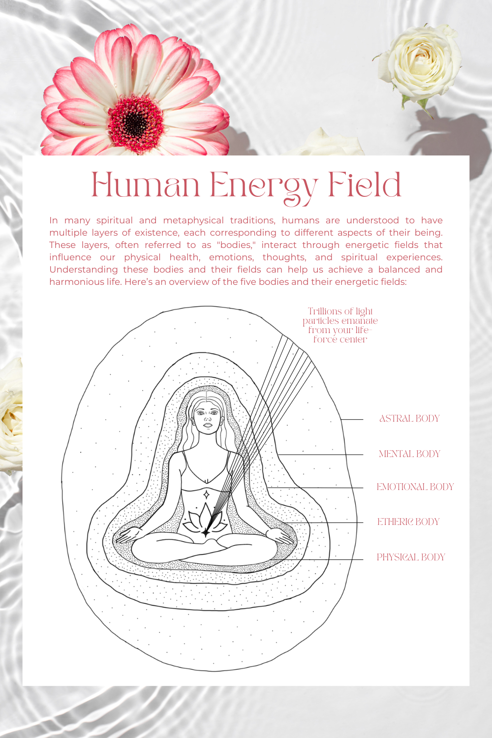 The Sacred Womb: The Transformative Power of Flower Essences in Feminine Healing