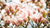 13 Energies of Motherhood: RENEWAL