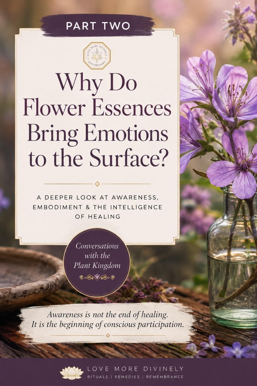 Why Do Flower Essences Bring Emotions to the Surface? Understanding Awareness, Embodiment & the Intelligence of Healing