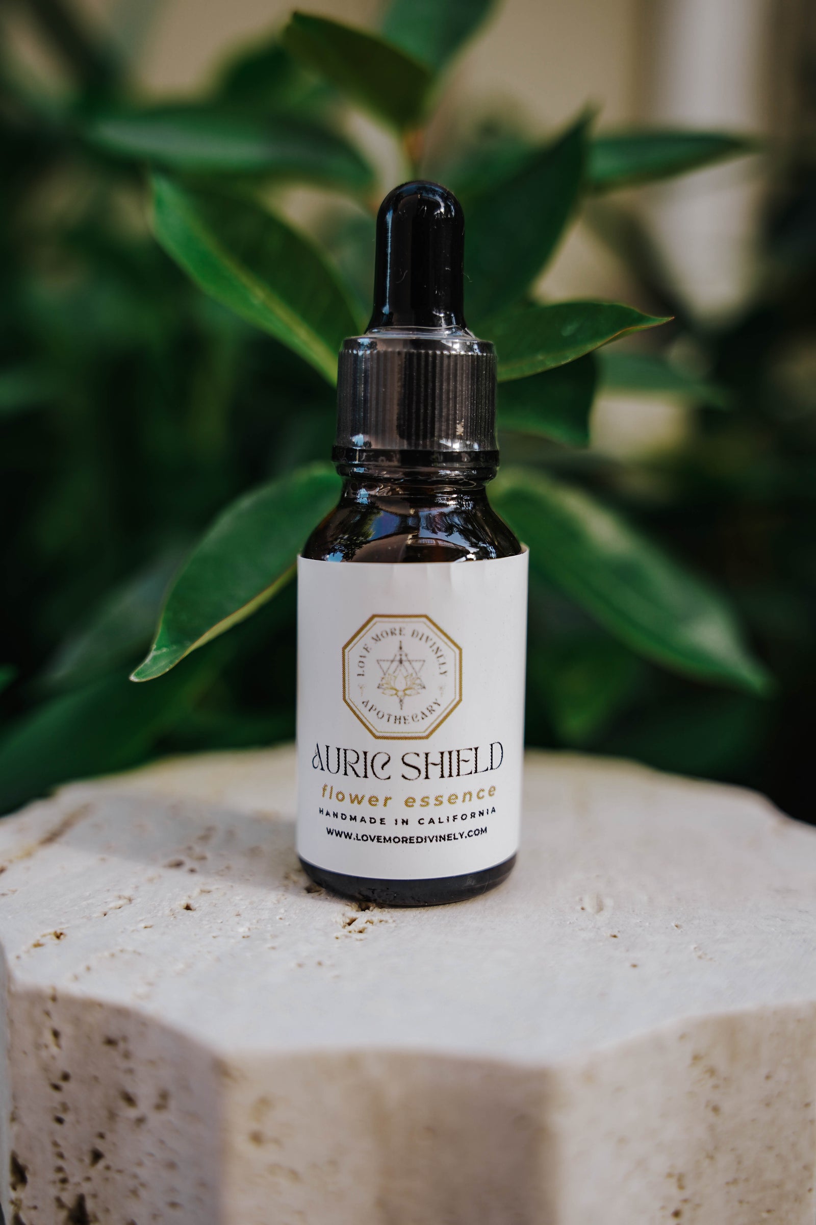 Auric Shield Flower Essence for energetic protection, empath support, aura strengthening, and spiritual sovereignty - Love More Divinely