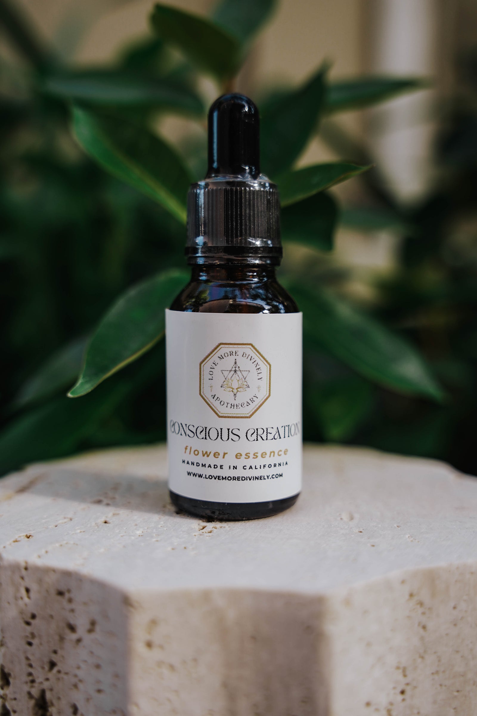 Conscious Creation Flower Essence for focus, confidence, manifestation, and Solar Plexus Chakra healing - Love More Divinely