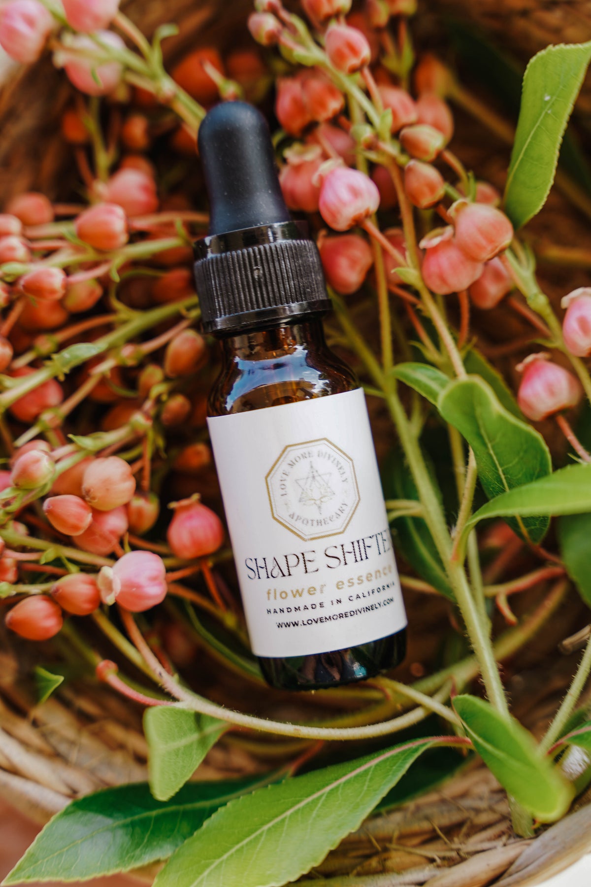 Flower Essences for the Energetic Architect Within - Love More Divinely