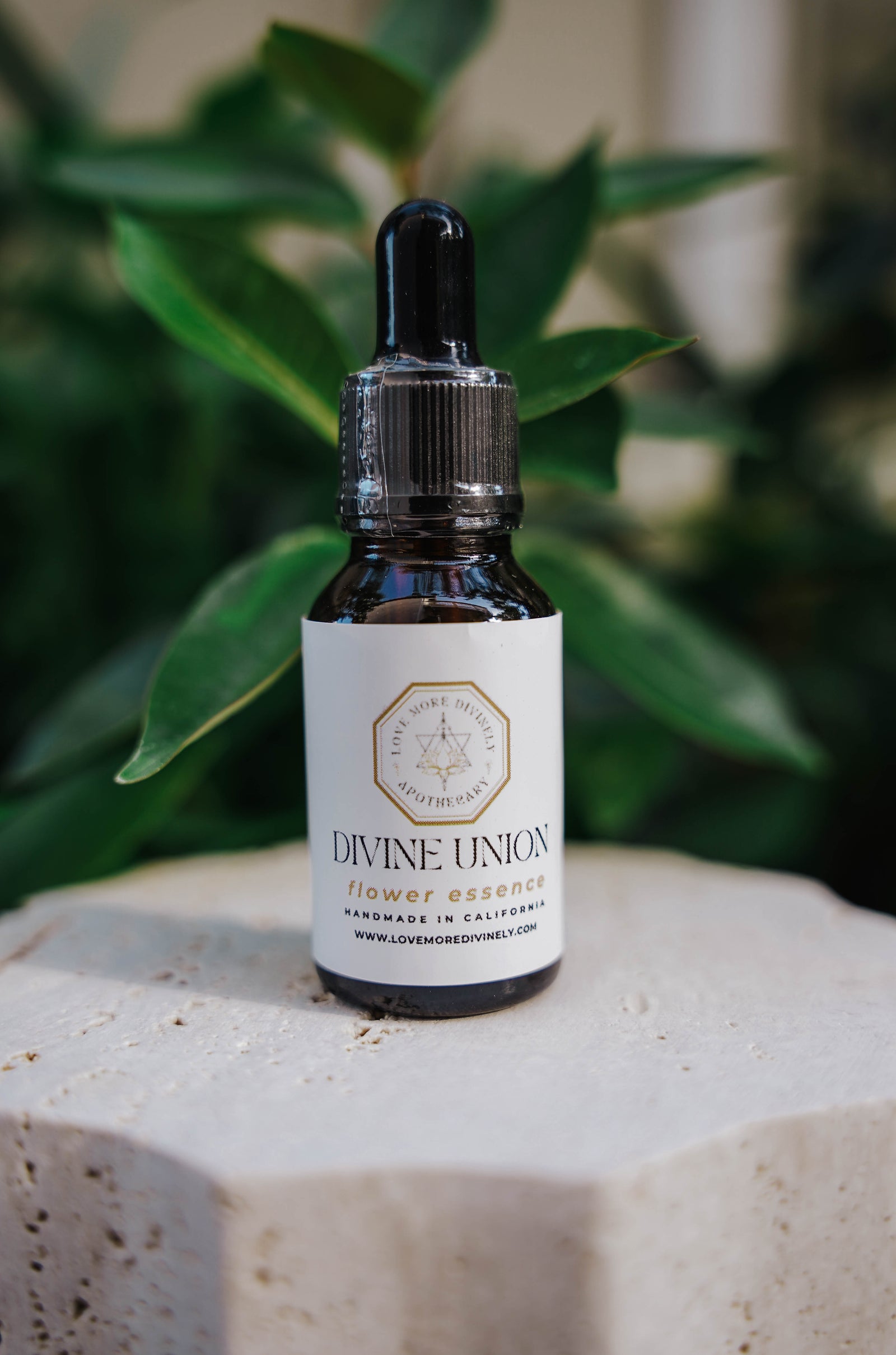 Handcrafted flower essence for self-love, relationship healing, Higher Heart Chakra activation, conscious relationships, divine masculine and feminine balance, emotional healing, and spiritual connection. - Love More Divinely