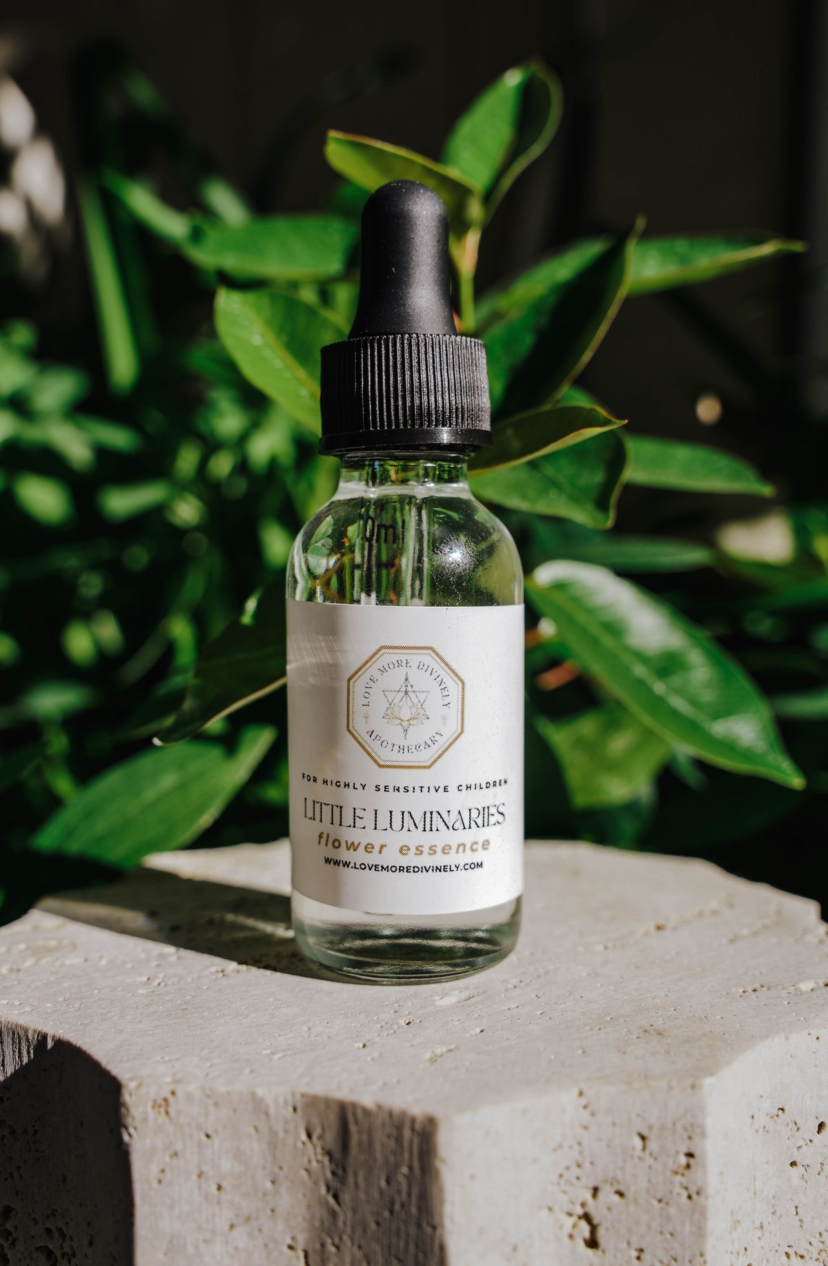 Little Luminaries Flower Essence for emotional balance, confidence, focus, and nervous system support for children - Love More Divinely