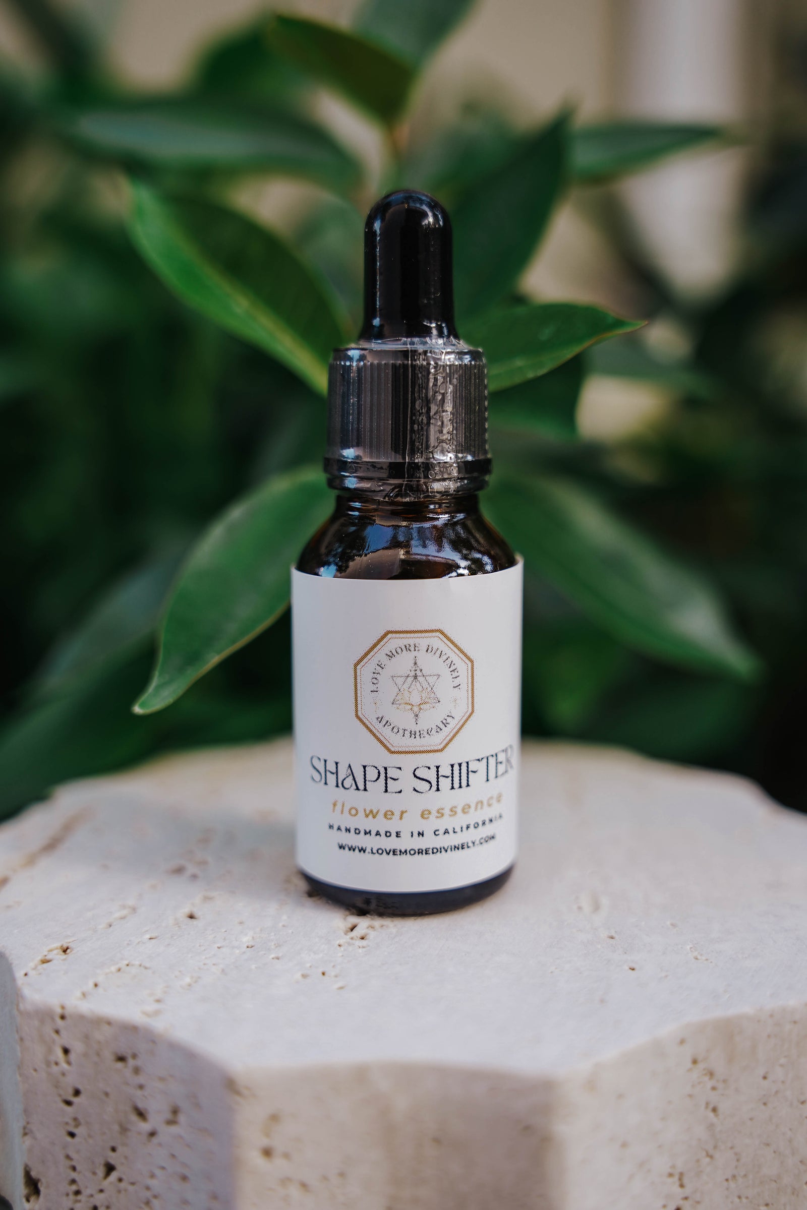 Shapeshifter Flower Essence for transformation, root chakra healing, authentic self-expression, and personal evolution - Love More Divinely