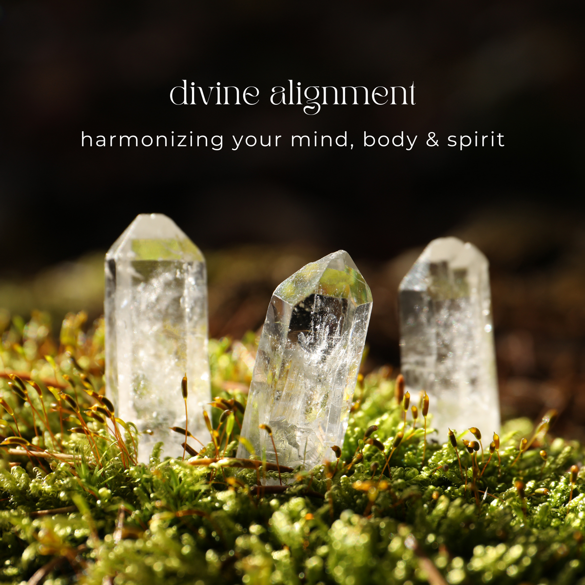 Divine Alignment Healing - LITTLEMISSDESSA