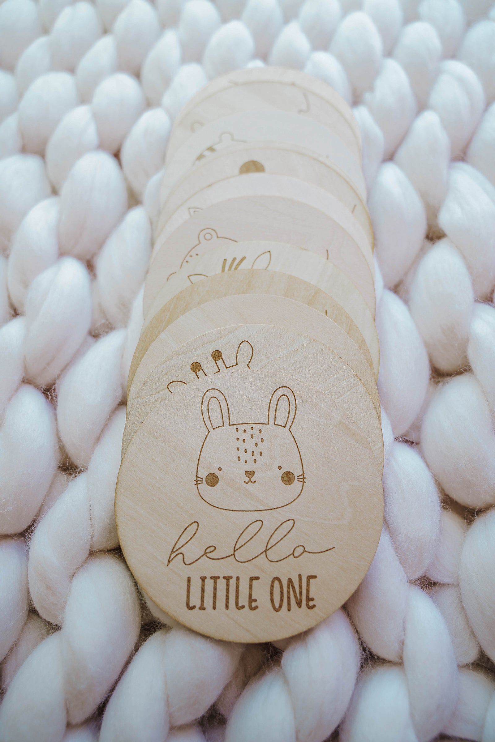 Hello Little One Animal Monthly Milestone Disc Set - LITTLEMISSDESSA