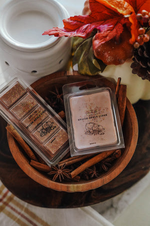 Scented Candle Wax Melts | Spiced Apple Cider - LITTLEMISSDESSA