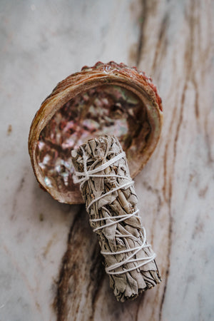 White Sage Smudge Stick - LITTLEMISSDESSA