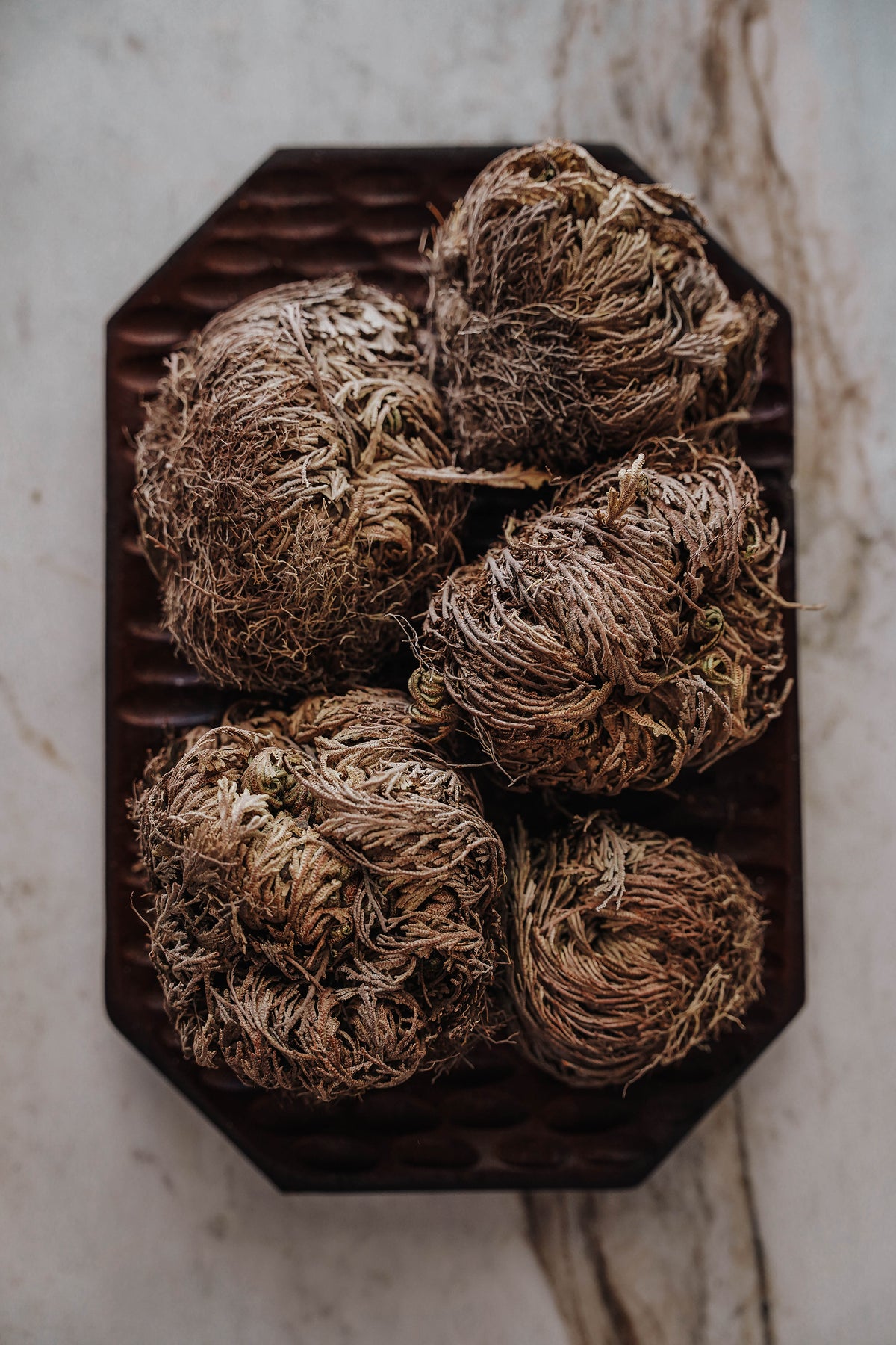 Rose of Jericho Resurrection Flower (Selaginella Lepidophylla) - LITTLEMISSDESSA