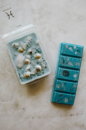 Pisces | Zodiac Crystal Infused Wax Melt - LITTLEMISSDESSA